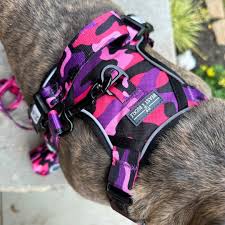 Cute Camo No Pull Dog Harness – Beast ...